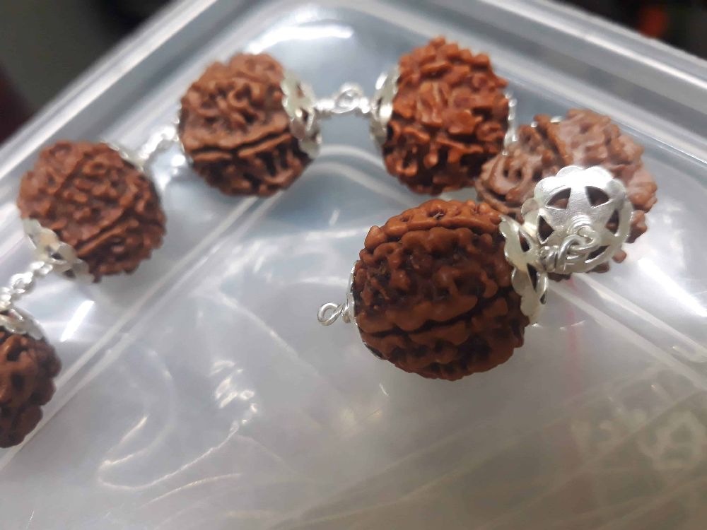 Rudraksha Beads Collection 12